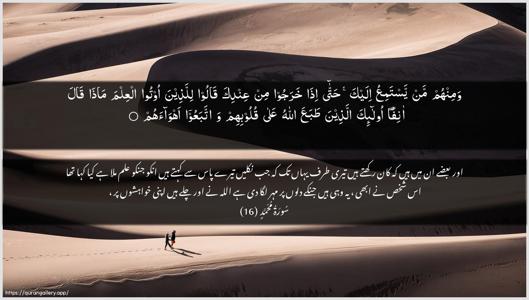 Muhammad Ayah 16 - Arabic + Urdu wallpaper