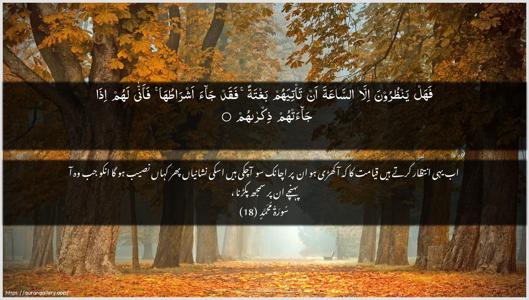 Muhammad Ayah 18 - Arabic + Urdu wallpaper