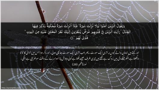 Muhammad Ayah 20 - Arabic + Urdu wallpaper