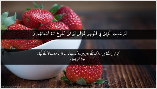 Muhammad Ayah 29 - Arabic + Urdu wallpaper