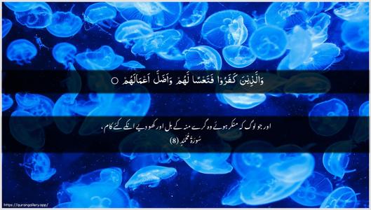 Muhammad Ayah 8 - Arabic + Urdu wallpaper