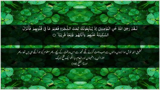 Al-Fath Ayah 18 - Arabic + Urdu wallpaper