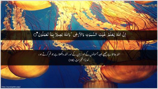 Al-Hujuraat Ayah 18 - Arabic + Urdu wallpaper