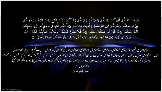 An-Nisaa Ayah 23 - Arabic + Urdu wallpaper