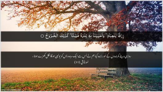 Qaaf Ayah 11 - Arabic + Urdu wallpaper