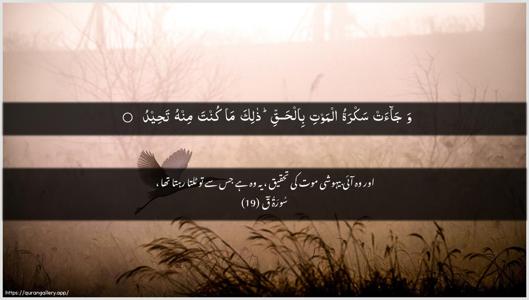 Qaaf Ayah 19 - Arabic + Urdu wallpaper