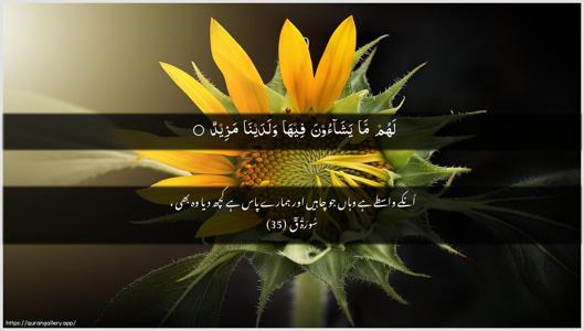 Qaaf Ayah 35 - Arabic + Urdu wallpaper