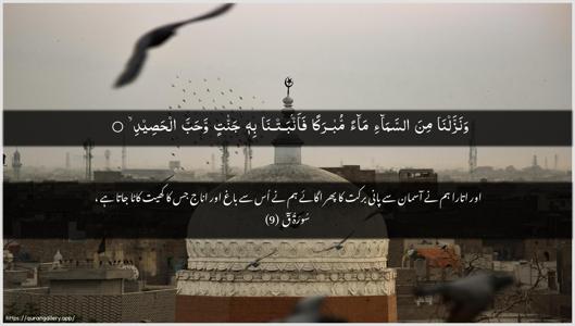 Qaaf Ayah 9 - Arabic + Urdu wallpaper