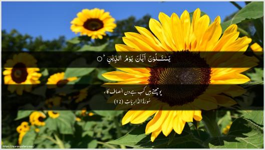 Adh-Dhaariyat Ayah 12 - Arabic + Urdu wallpaper