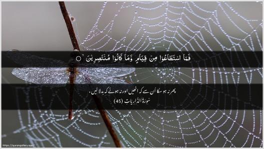 Adh-Dhaariyat Ayah 45 - Arabic + Urdu wallpaper