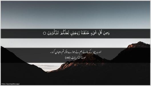 Adh-Dhaariyat Ayah 49 - Arabic + Urdu wallpaper