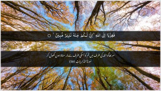 Adh-Dhaariyat Ayah 50 - Arabic + Urdu wallpaper