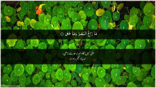 An-Najm Ayah 17 - Arabic + Urdu wallpaper