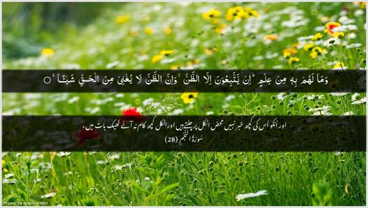 An-Najm Ayah 28 - Arabic + Urdu wallpaper