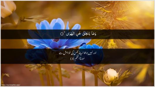 An-Najm Ayah 3 - Arabic + Urdu wallpaper