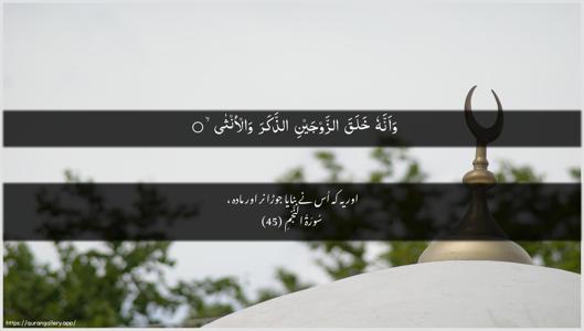 An-Najm Ayah 45 - Arabic + Urdu wallpaper