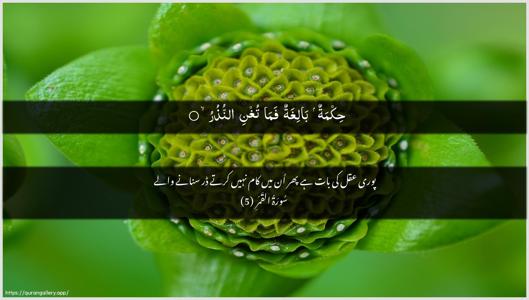 Al-Qamar Ayah 5 - Arabic + Urdu wallpaper