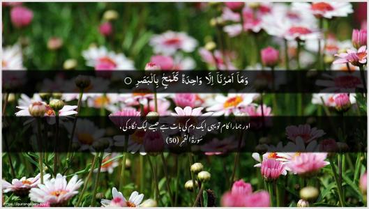 Al-Qamar Ayah 50 - Arabic + Urdu wallpaper