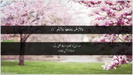 Ar-Rahmaan Ayah 10 - Arabic + Urdu wallpaper