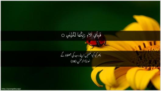Ar-Rahmaan Ayah 38 - Arabic + Urdu wallpaper