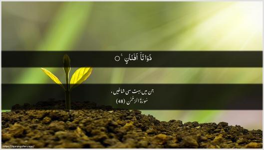 Ar-Rahmaan Ayah 48 - Arabic + Urdu wallpaper