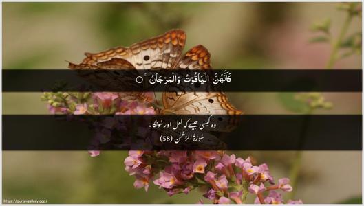Ar-Rahmaan Ayah 58 - Arabic + Urdu wallpaper