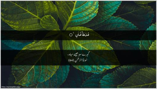 Ar-Rahmaan Ayah 64 - Arabic + Urdu wallpaper