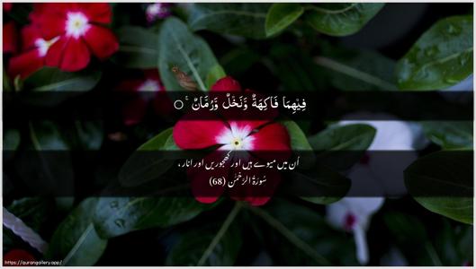 Ar-Rahmaan Ayah 68 - Arabic + Urdu wallpaper