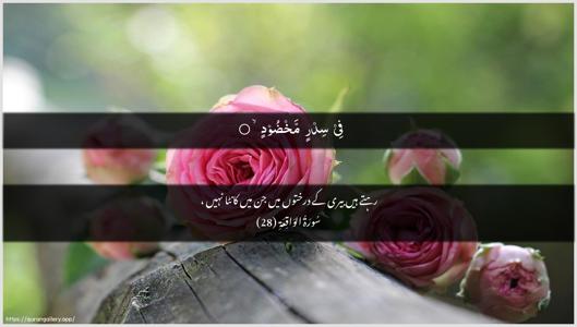 Al-Waaqia Ayah 28 - Arabic + Urdu wallpaper