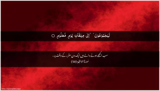 Al-Waaqia Ayah 50 - Arabic + Urdu wallpaper