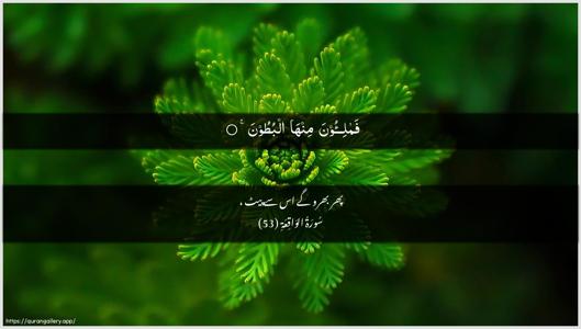 Al-Waaqia Ayah 53 - Arabic + Urdu wallpaper