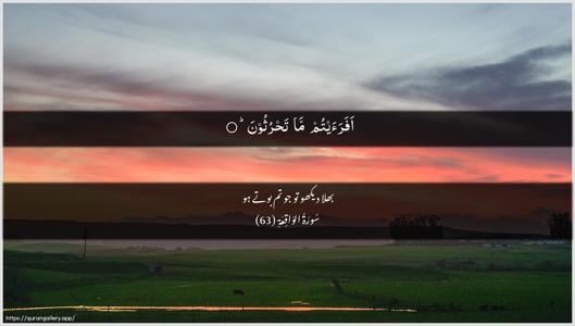 Al-Waaqia Ayah 63 - Arabic + Urdu wallpaper