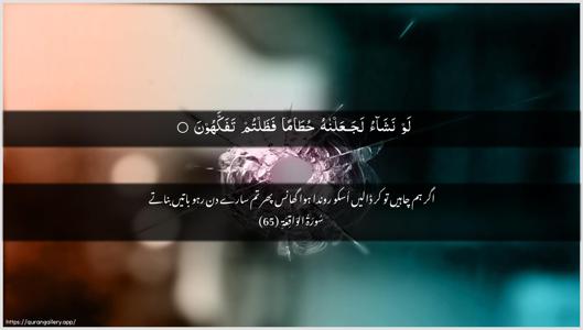Al-Waaqia Ayah 65 - Arabic + Urdu wallpaper