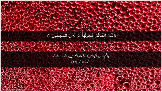 Al-Waaqia Ayah 72 - Arabic + Urdu wallpaper