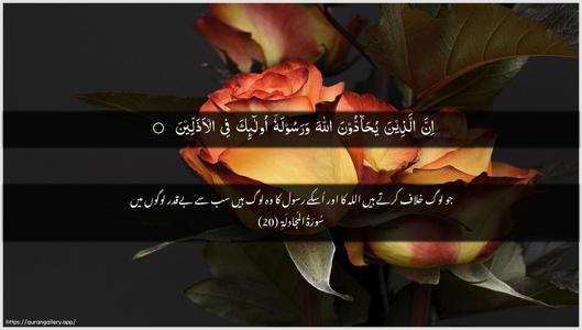 Al-Mujaadila Ayah 20 - Arabic + Urdu wallpaper