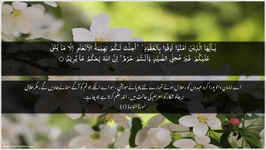 Al-Maaida Ayah 1 - Arabic + Urdu wallpaper