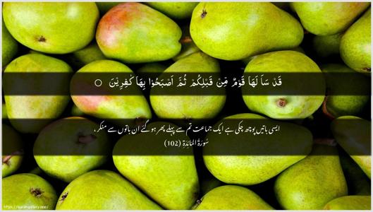 Al-Maaida Ayah 102 - Arabic + Urdu wallpaper