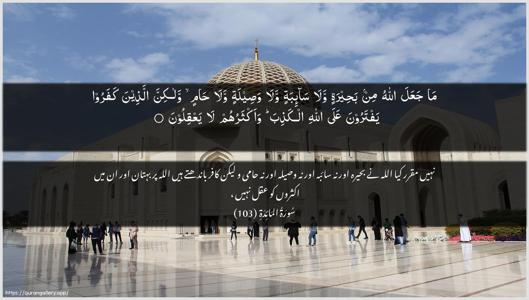 Al-Maaida Ayah 103 - Arabic + Urdu wallpaper