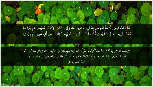 Al-Maaida Ayah 117 - Arabic + Urdu wallpaper