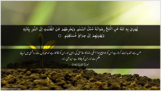 Al-Maaida Ayah 16 - Arabic + Urdu wallpaper
