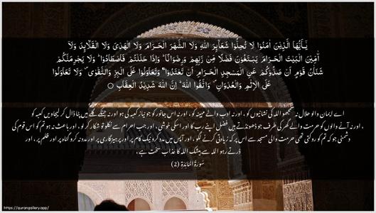 Al-Maaida Ayah 2 - Arabic + Urdu wallpaper