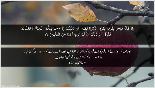 Al-Maaida Ayah 20 - Arabic + Urdu wallpaper