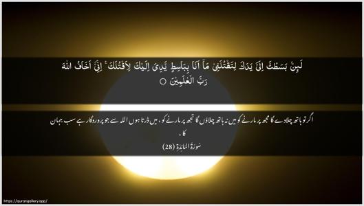 Al-Maaida Ayah 28 - Arabic + Urdu wallpaper