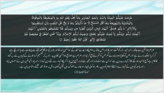Al-Maaida Ayah 3 - Arabic + Urdu wallpaper