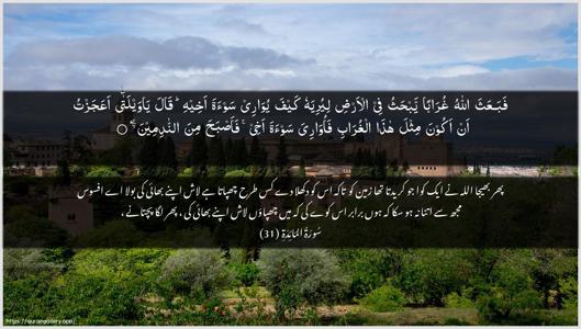 Al-Maaida Ayah 31 - Arabic + Urdu wallpaper