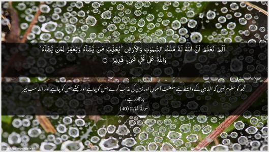 Al-Maaida Ayah 40 - Arabic + Urdu wallpaper
