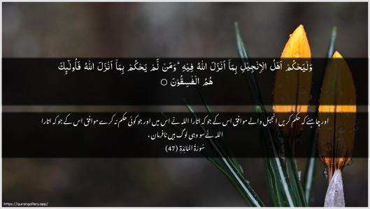 Al-Maaida Ayah 47 - Arabic + Urdu wallpaper