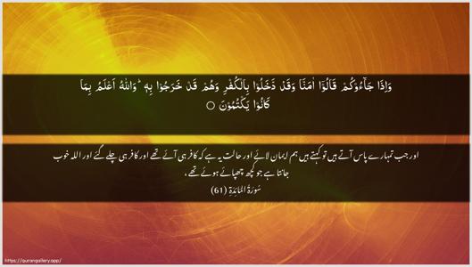 Al-Maaida Ayah 61 - Arabic + Urdu wallpaper