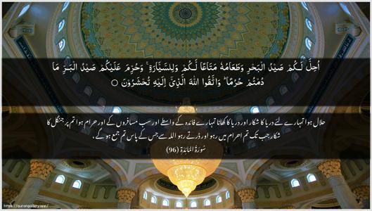 Al-Maaida Ayah 96 - Arabic + Urdu wallpaper