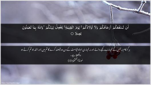 Al-Mumtahana Ayah 3 - Arabic + Urdu wallpaper